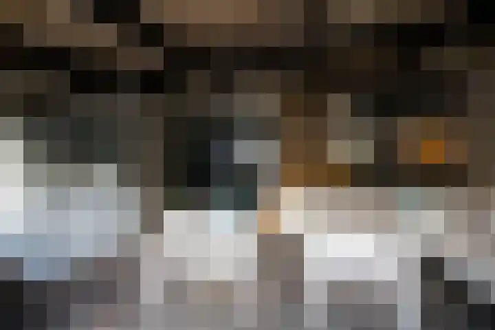 Goudsbloempad 4 Spijkenisse thumbnail 36