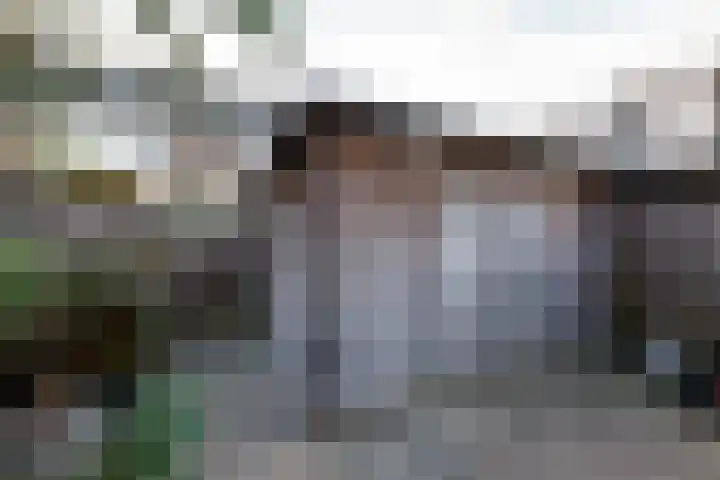 Goudsbloempad 4 Spijkenisse thumbnail 37