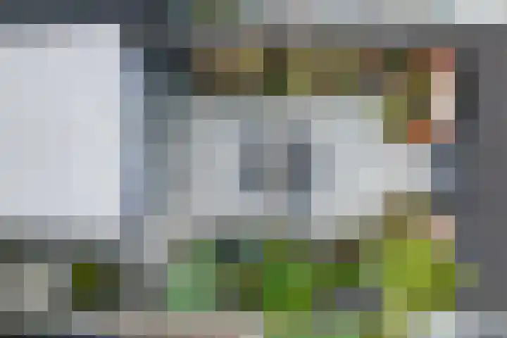 Goudsbloempad 4 Spijkenisse thumbnail 38