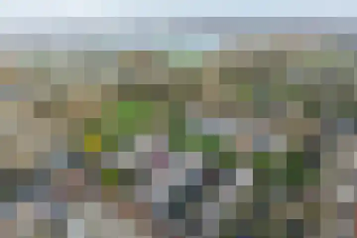 Goudsbloempad 4 Spijkenisse thumbnail 39
