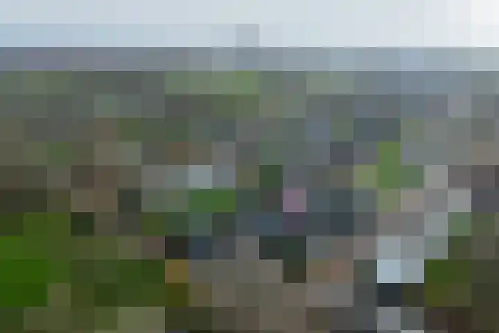 Goudsbloempad 4 Spijkenisse thumbnail 40
