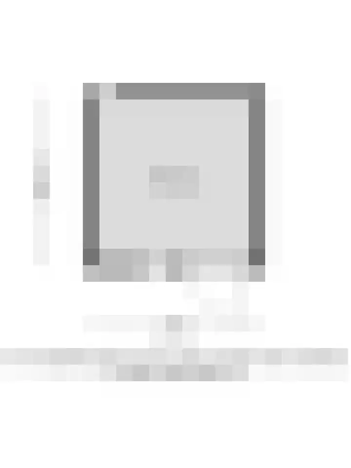 Goudsbloempad 4 Spijkenisse thumbnail 44