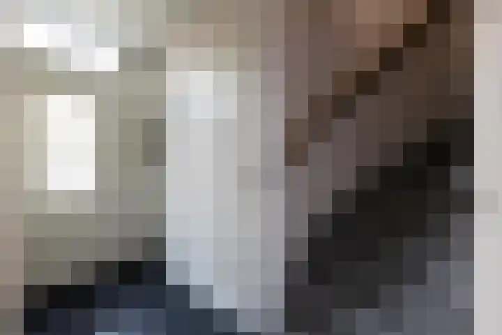 Goudsbloempad 4 Spijkenisse thumbnail 5