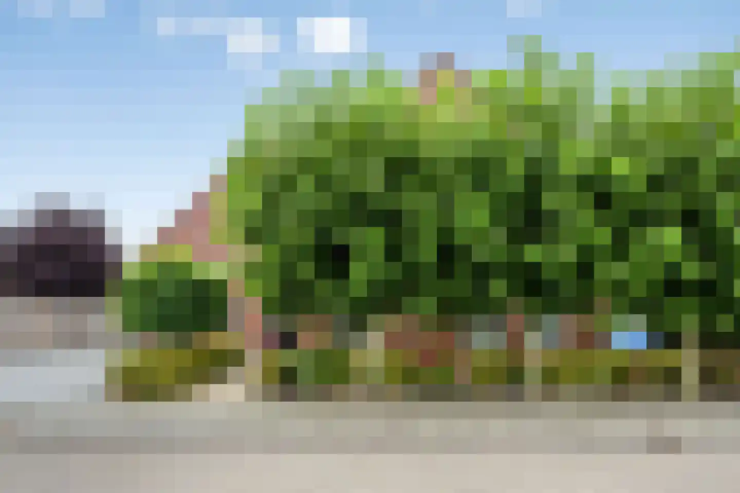 Goudsbloemstraat 10 Munnekezijl thumbnail 21