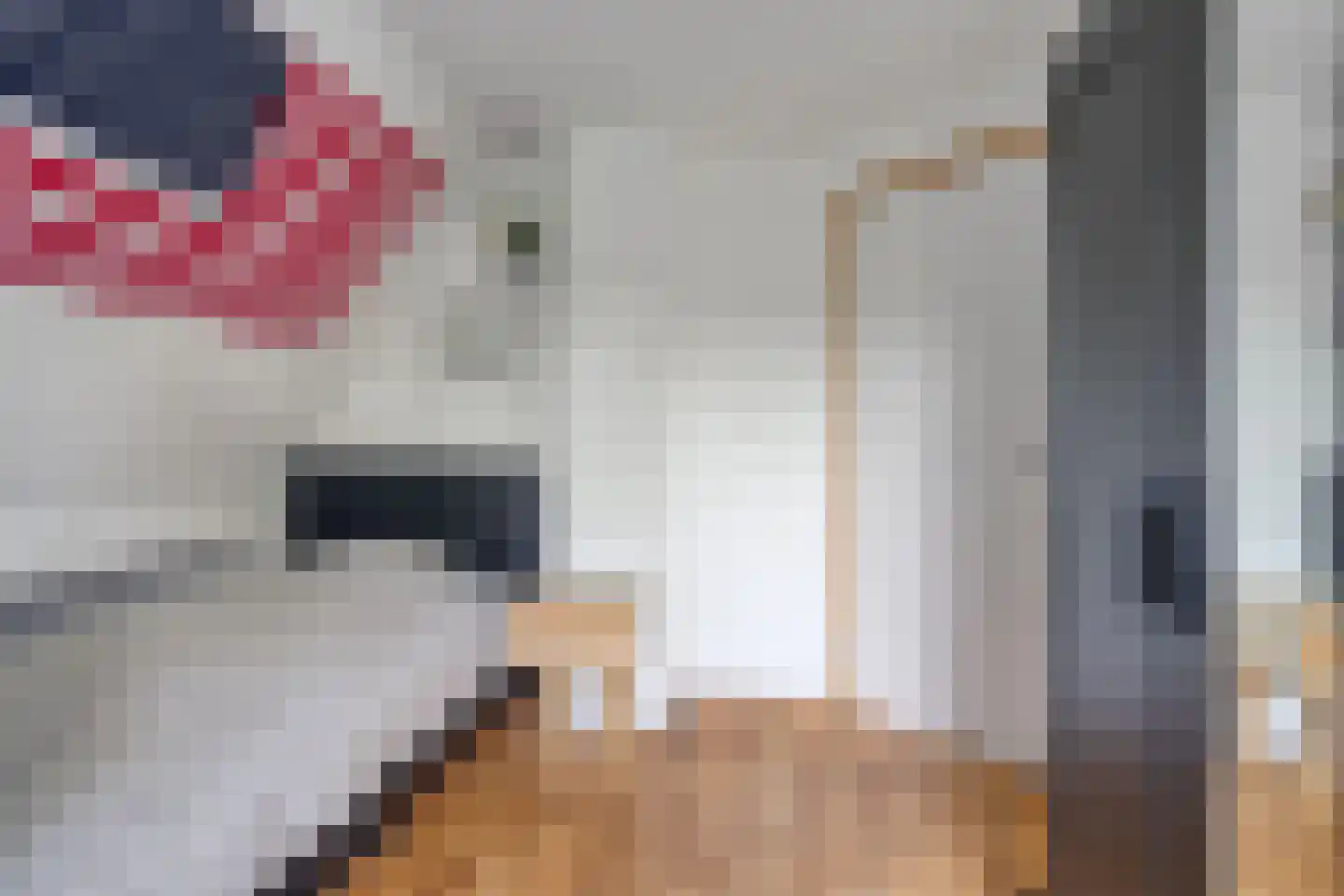 Goudsbloemstraat 10 Munnekezijl thumbnail 61