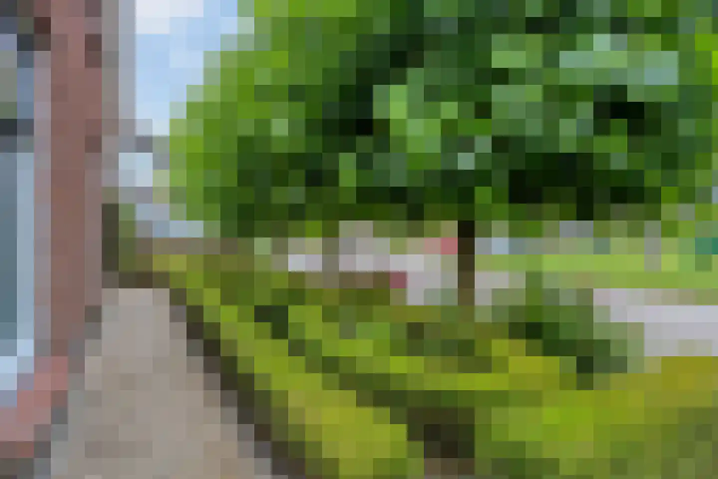 Goudsbloemstraat 10 Munnekezijl thumbnail 69