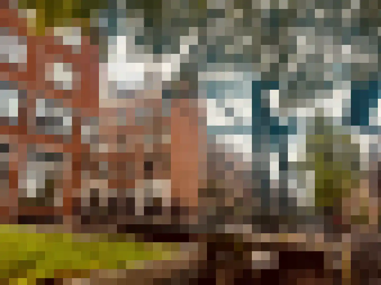 Goudsbloemstraat 118 D Amsterdam thumbnail 27