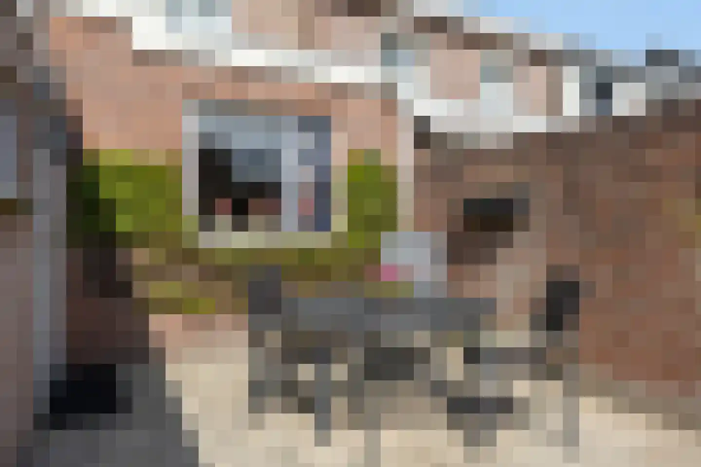 Goudsbloemstraat 13 Bergeijk thumbnail 30