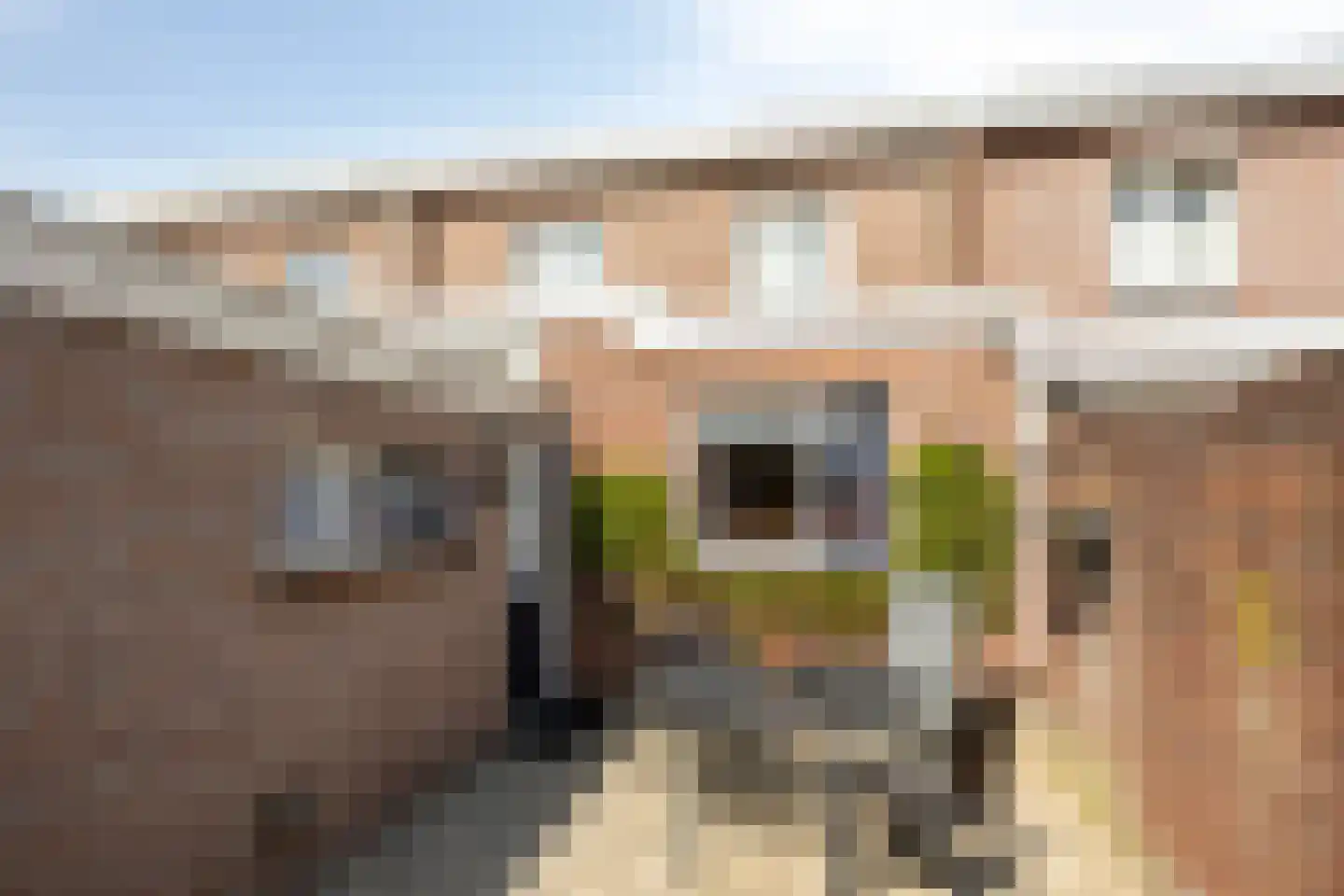 Goudsbloemstraat 13 Bergeijk thumbnail 32