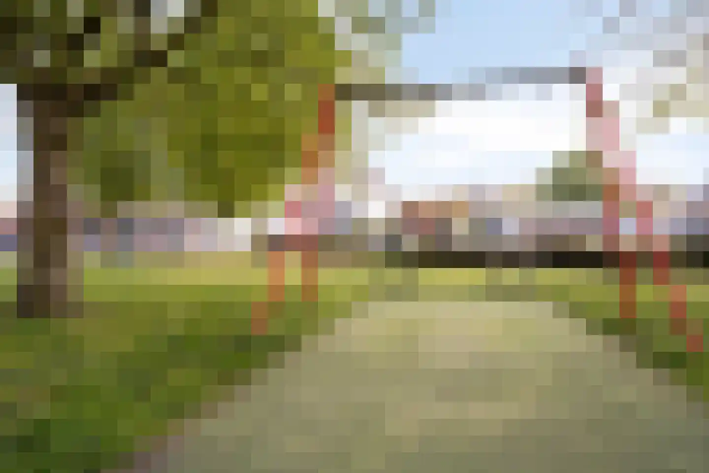Goudsbloemstraat 13 Bergeijk thumbnail 33