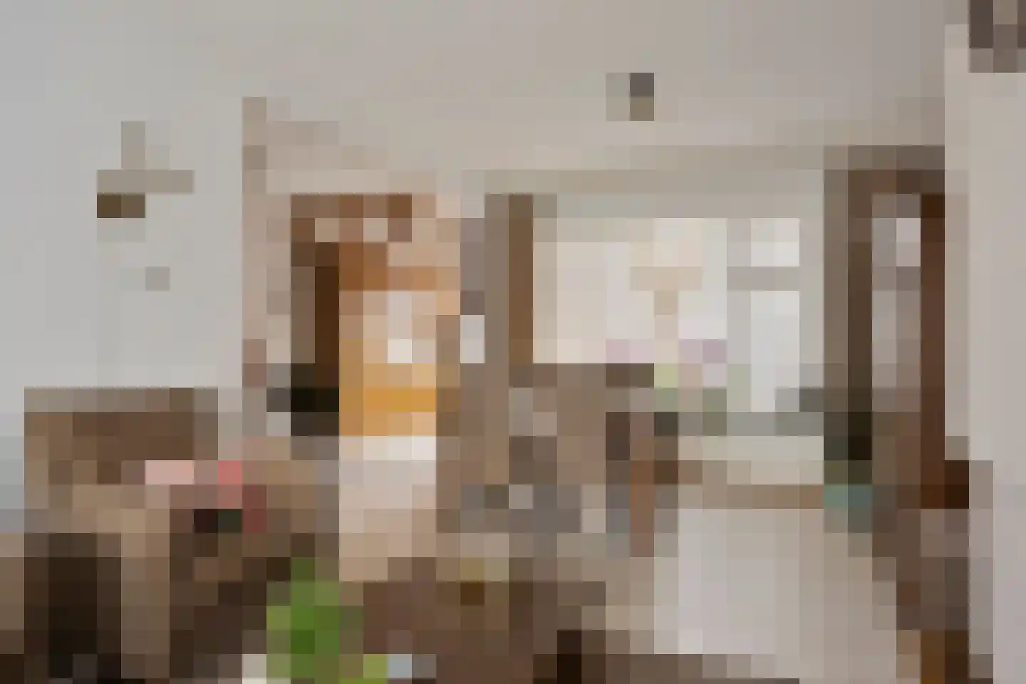 Goudsbloemstraat 13 Bergeijk thumbnail 6