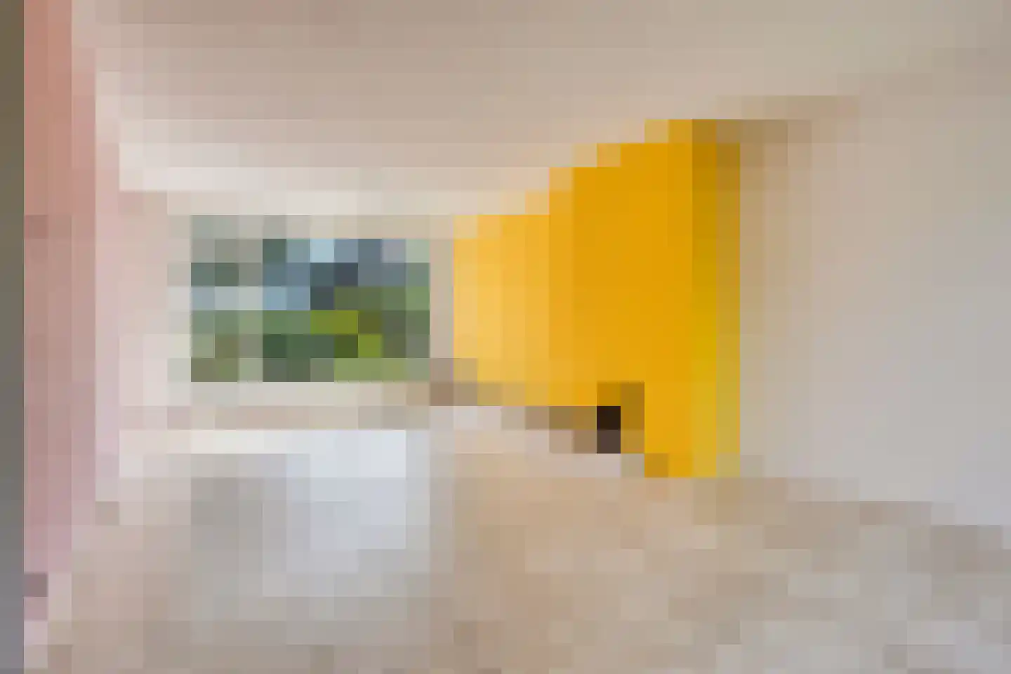 Goudsbloemstraat 14 Rosmalen thumbnail 11