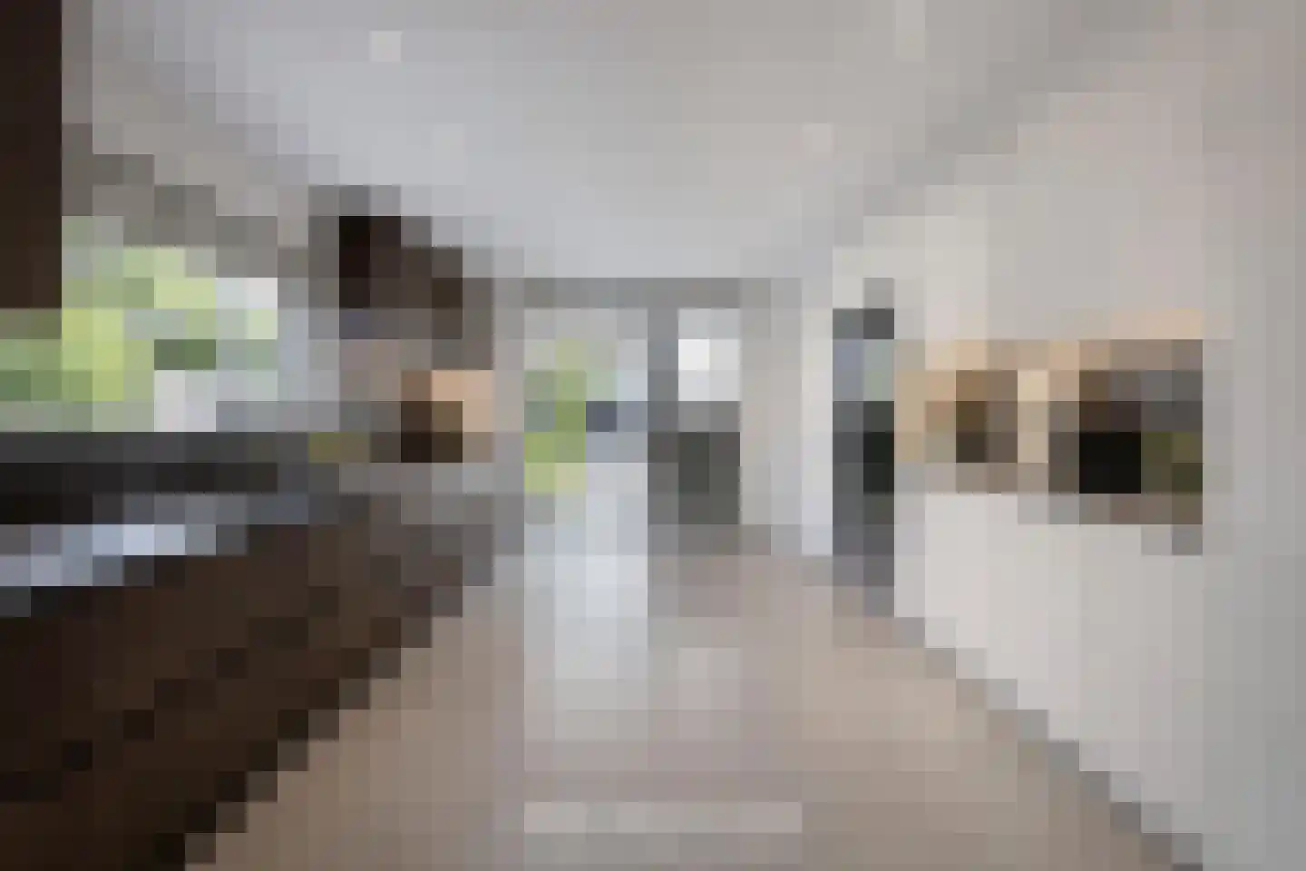 Goudsbloemstraat 14 Rosmalen thumbnail 18