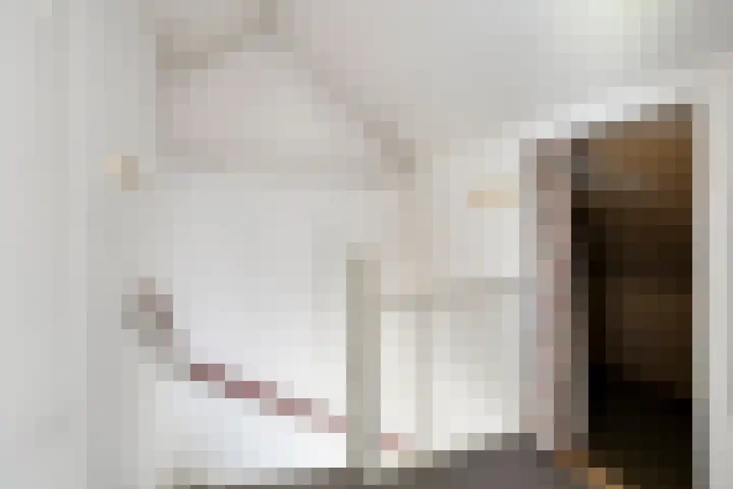 Goudsbloemstraat 14 Rosmalen thumbnail 25