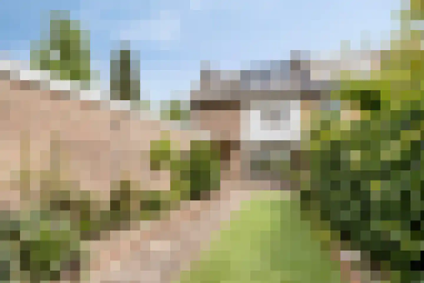 Goudsbloemstraat 14 Rosmalen thumbnail 29