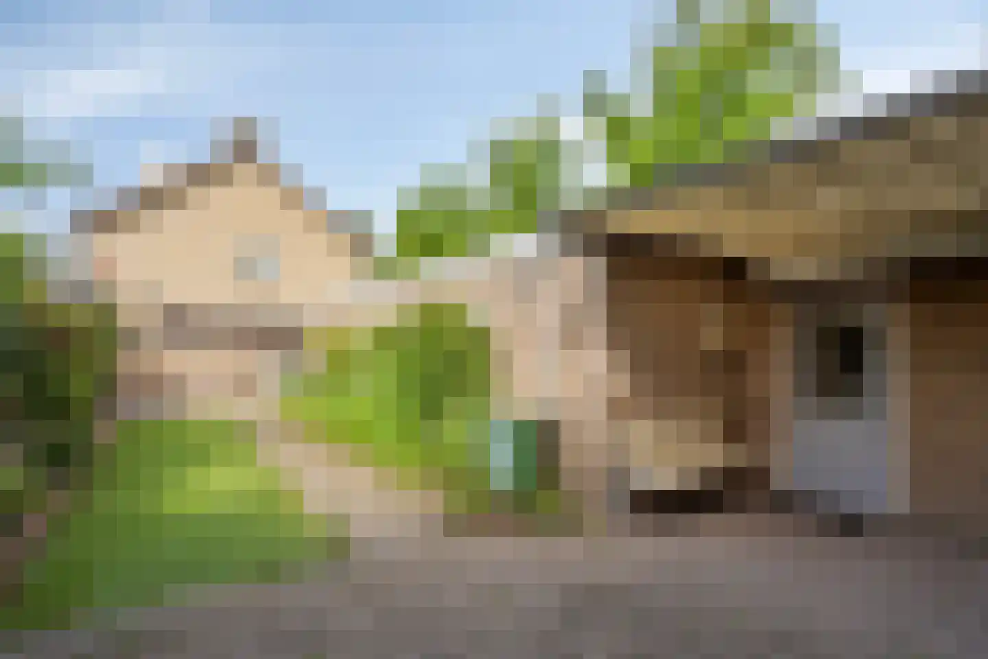 Goudsbloemstraat 14 Rosmalen thumbnail 33