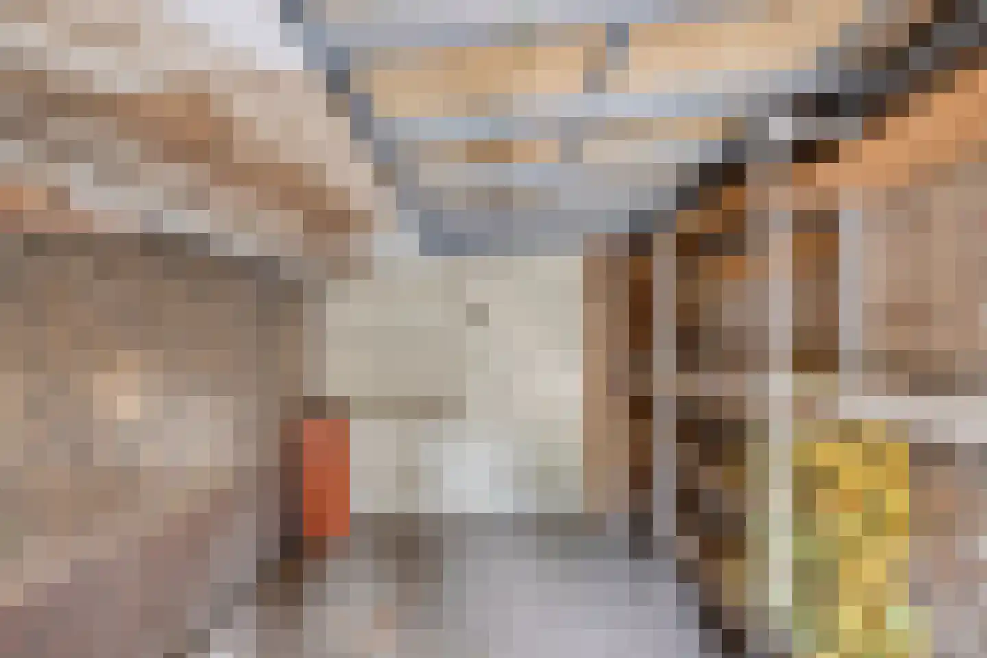 Goudsbloemstraat 14 Rosmalen thumbnail 35