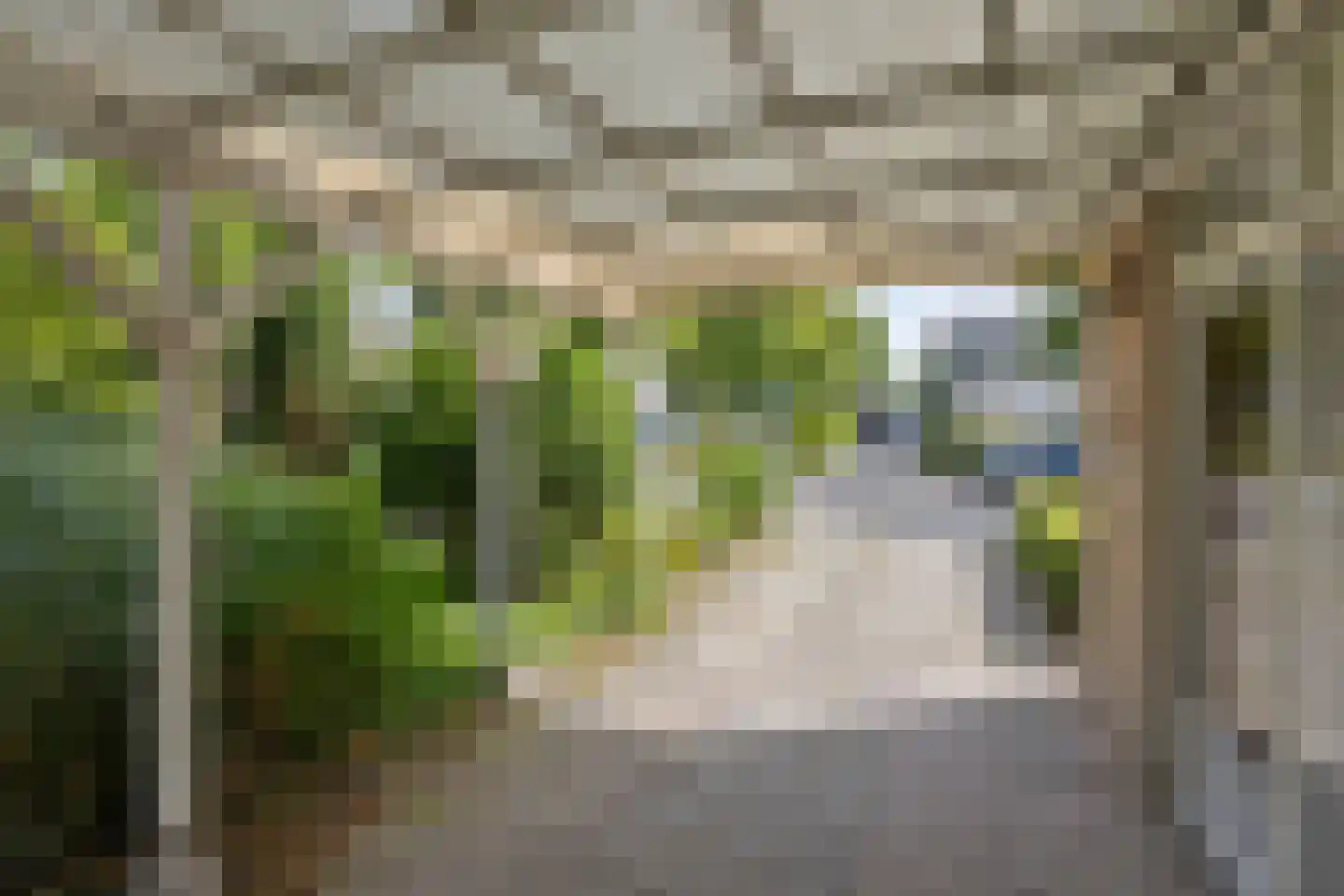 Goudsbloemstraat 14 Rosmalen thumbnail 36