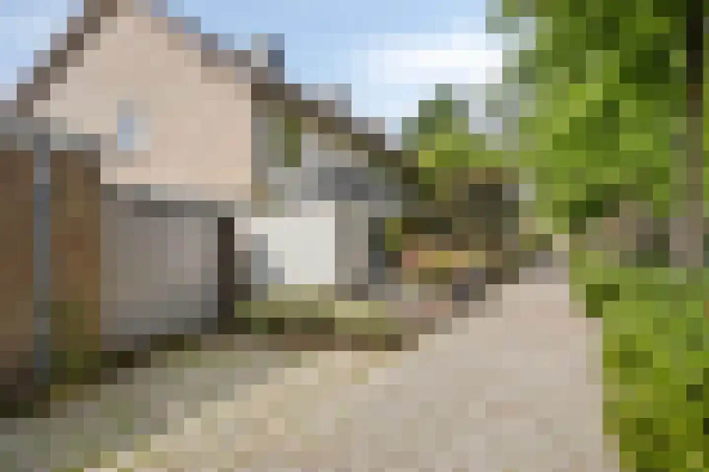 Goudsbloemstraat 14 Rosmalen thumbnail 37