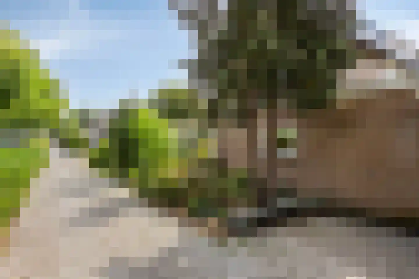 Goudsbloemstraat 14 Rosmalen thumbnail 38