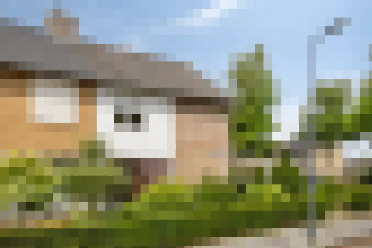 Goudsbloemstraat 14 Rosmalen thumbnail 7