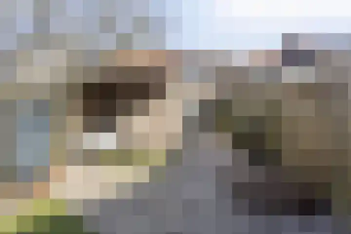 Goudsbloemstraat 14 Zwolle thumbnail 30