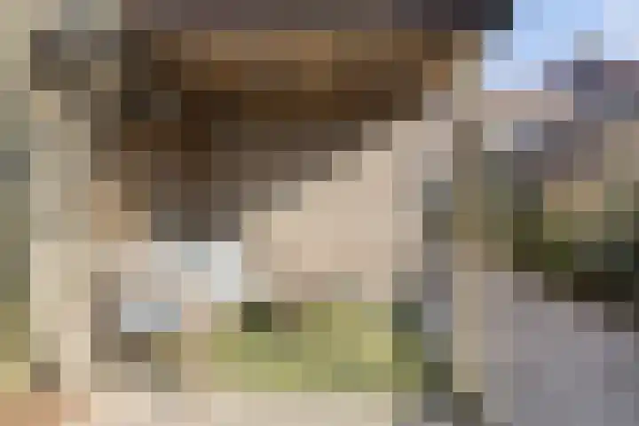Goudsbloemstraat 14 Zwolle thumbnail 31