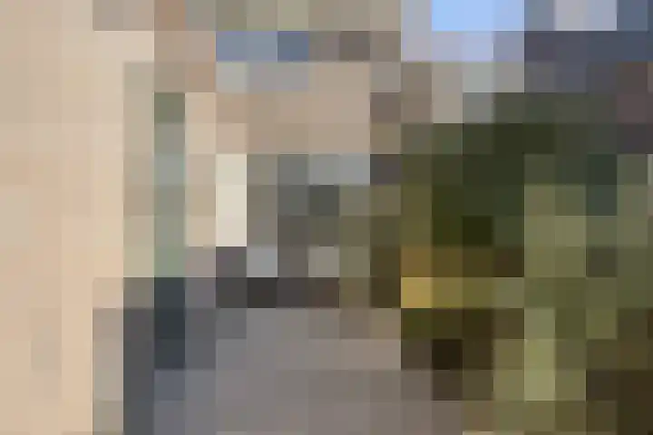 Goudsbloemstraat 14 Zwolle thumbnail 32