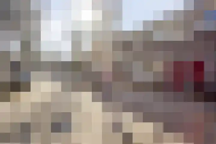 Goudsbloemstraat 14 Zwolle thumbnail 33