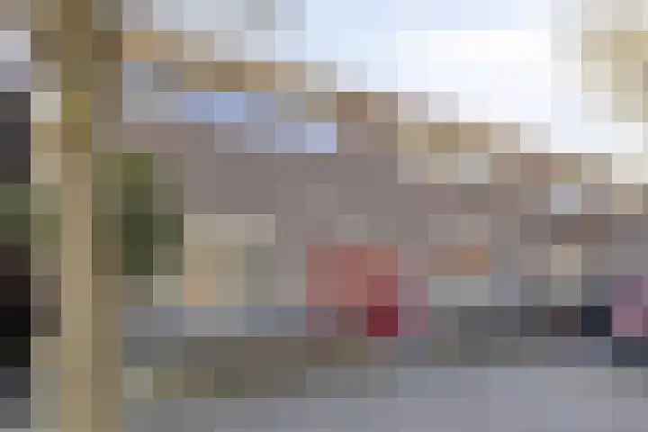 Goudsbloemstraat 14 Zwolle thumbnail 34