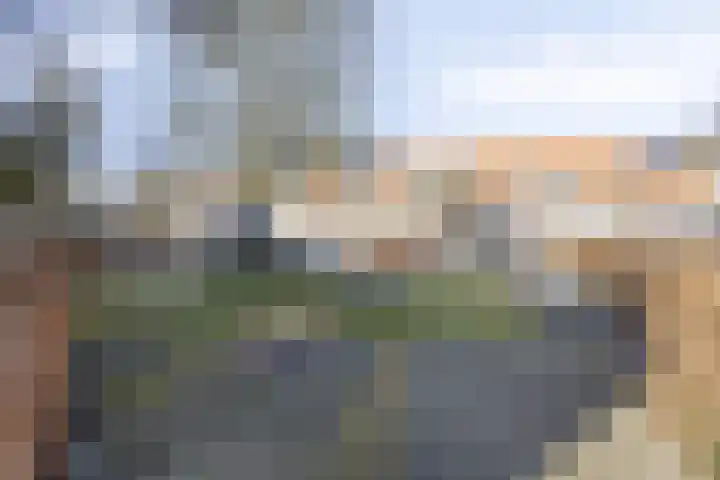Goudsbloemstraat 14 Zwolle thumbnail 35