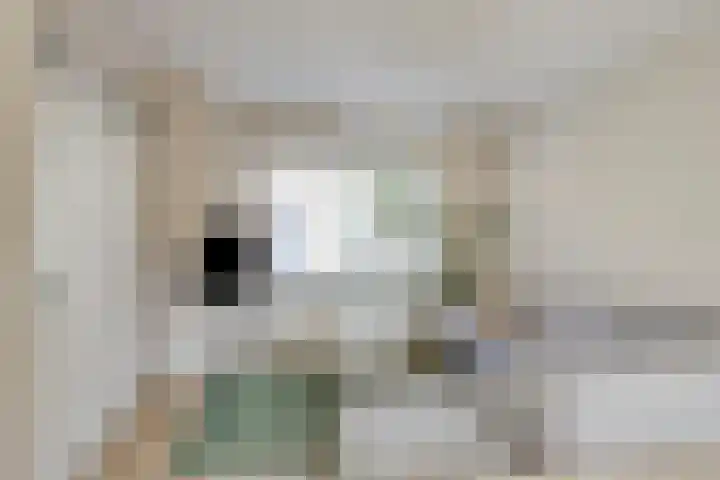 Goudsbloemstraat 14 Zwolle thumbnail 4
