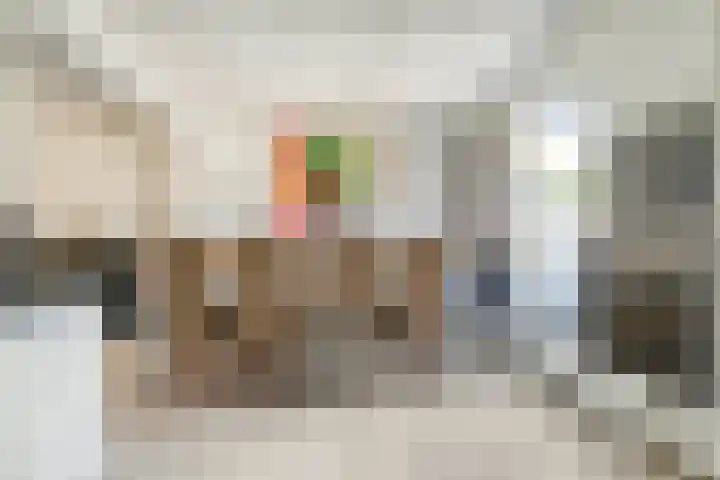 Goudsbloemstraat 15 Beek en Donk thumbnail 15