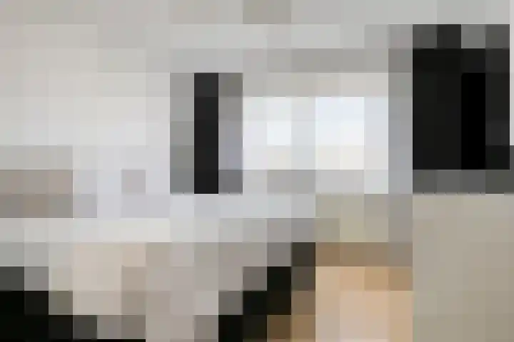 Goudsbloemstraat 15 Beek en Donk thumbnail 21