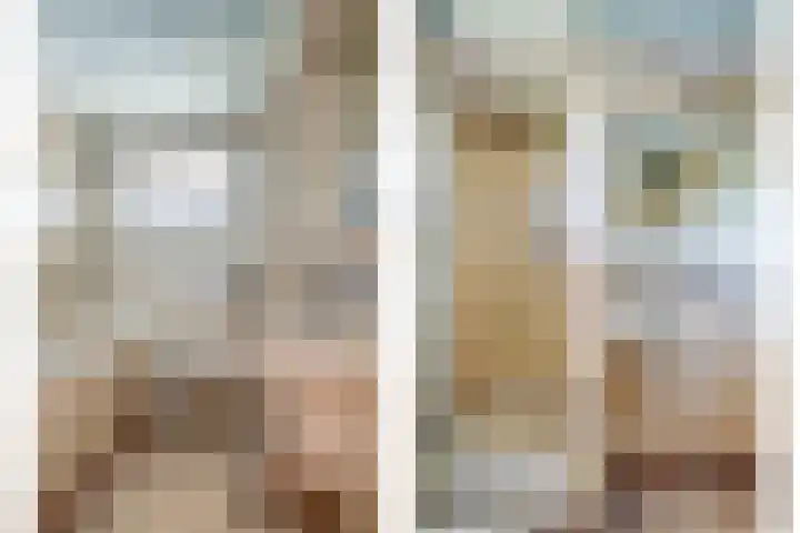 Goudsbloemstraat 15 Beek en Donk thumbnail 23