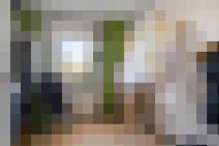 Goudsbloemstraat 15 Beek en Donk thumbnail 25