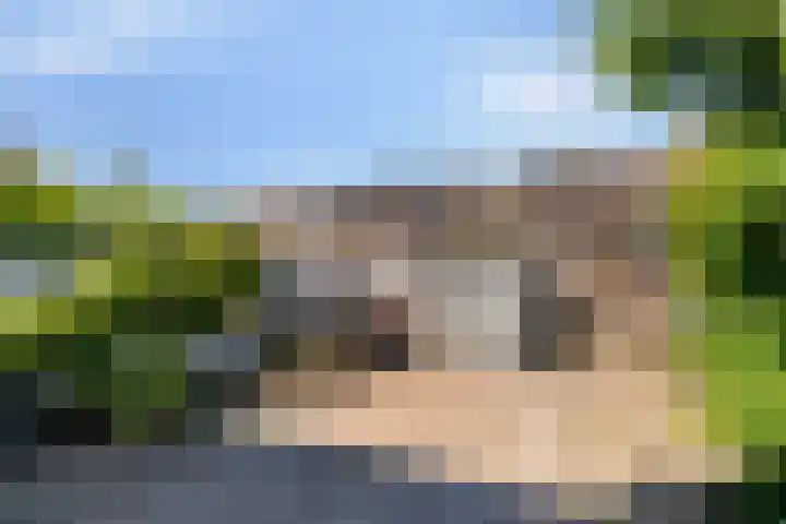 Goudsbloemstraat 15 Beek en Donk thumbnail 29