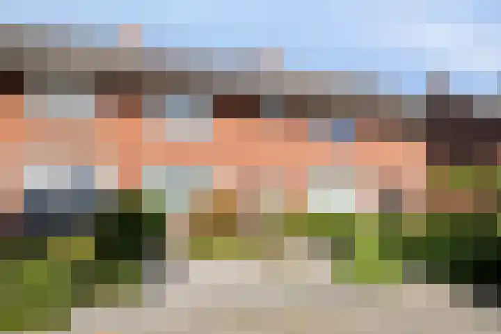 Goudsbloemstraat 15 Beek en Donk thumbnail 5