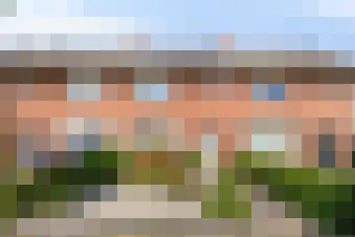 Goudsbloemstraat 15 Beek en Donk thumbnail 6