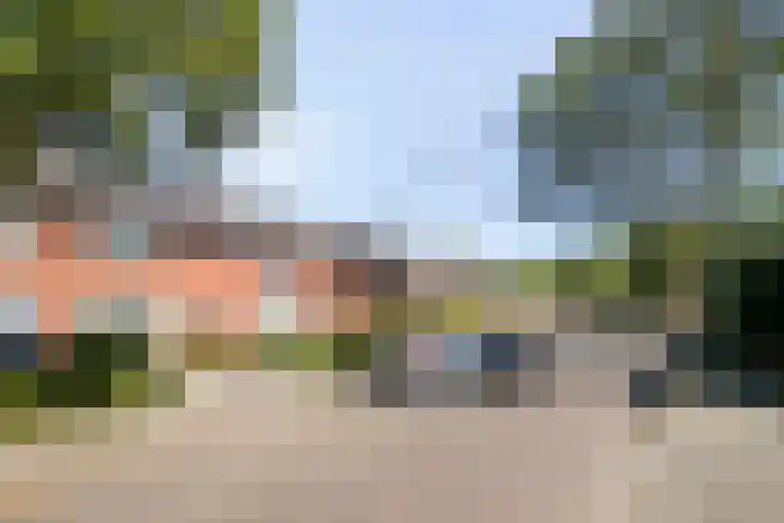 Goudsbloemstraat 15 Beek en Donk thumbnail 7