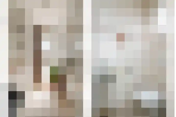 Goudsbloemstraat 15 Beek en Donk thumbnail 8