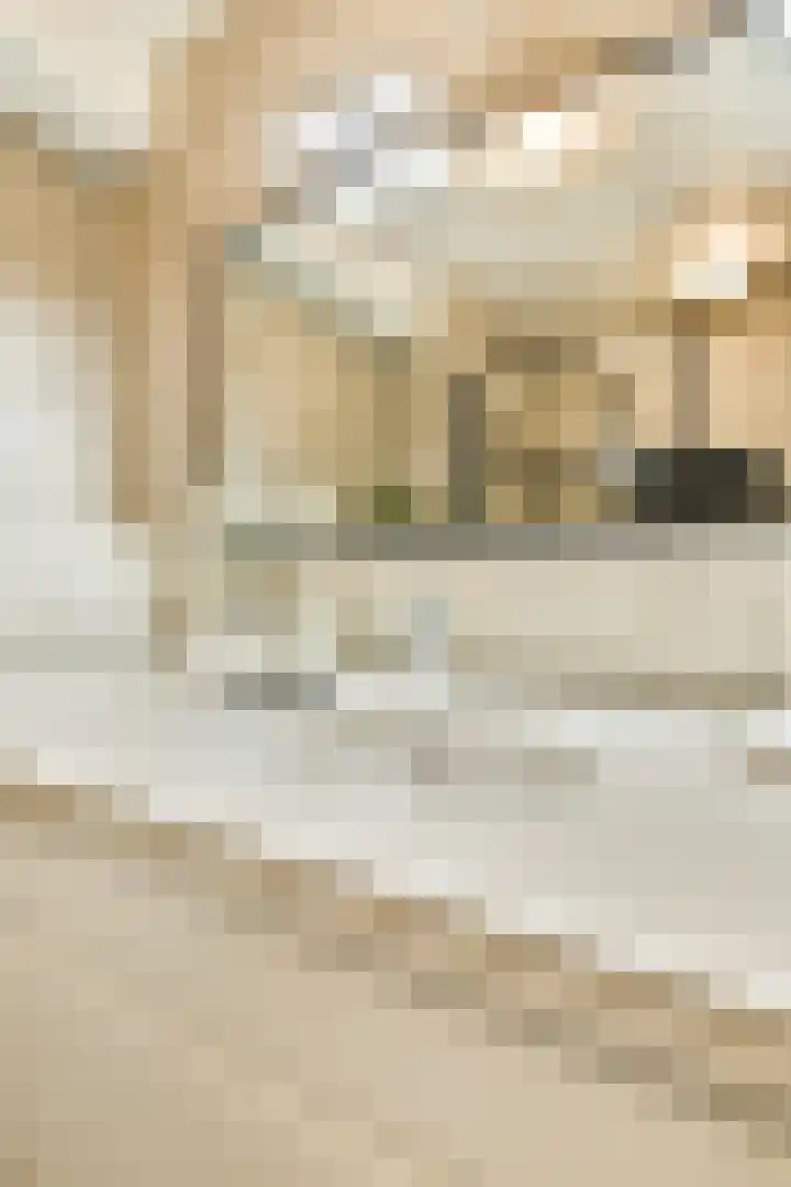 Goudsbloemstraat 16 D Amsterdam thumbnail 21