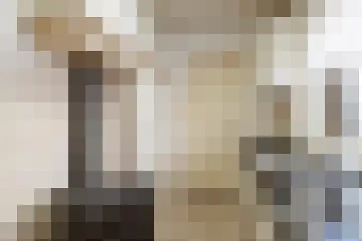 Goudsbloemstraat 16 Eindhoven thumbnail 11