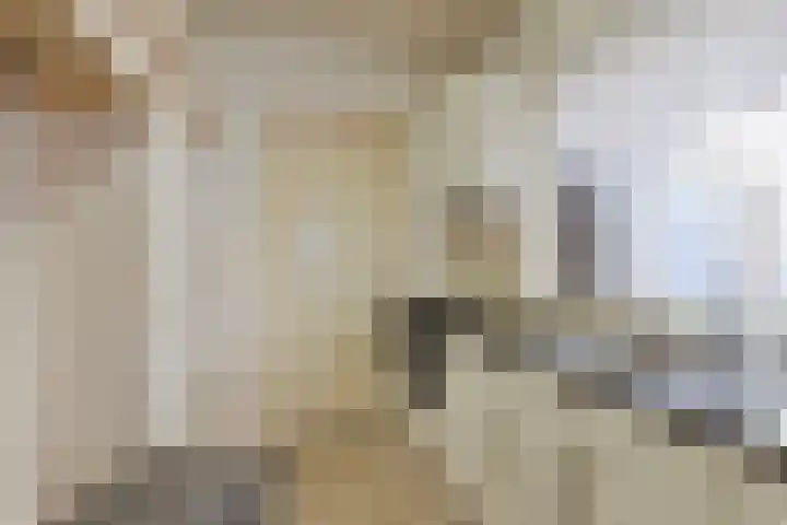 Goudsbloemstraat 16 Eindhoven thumbnail 12