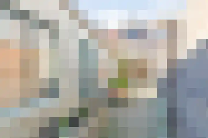 Goudsbloemstraat 16 Eindhoven thumbnail 18