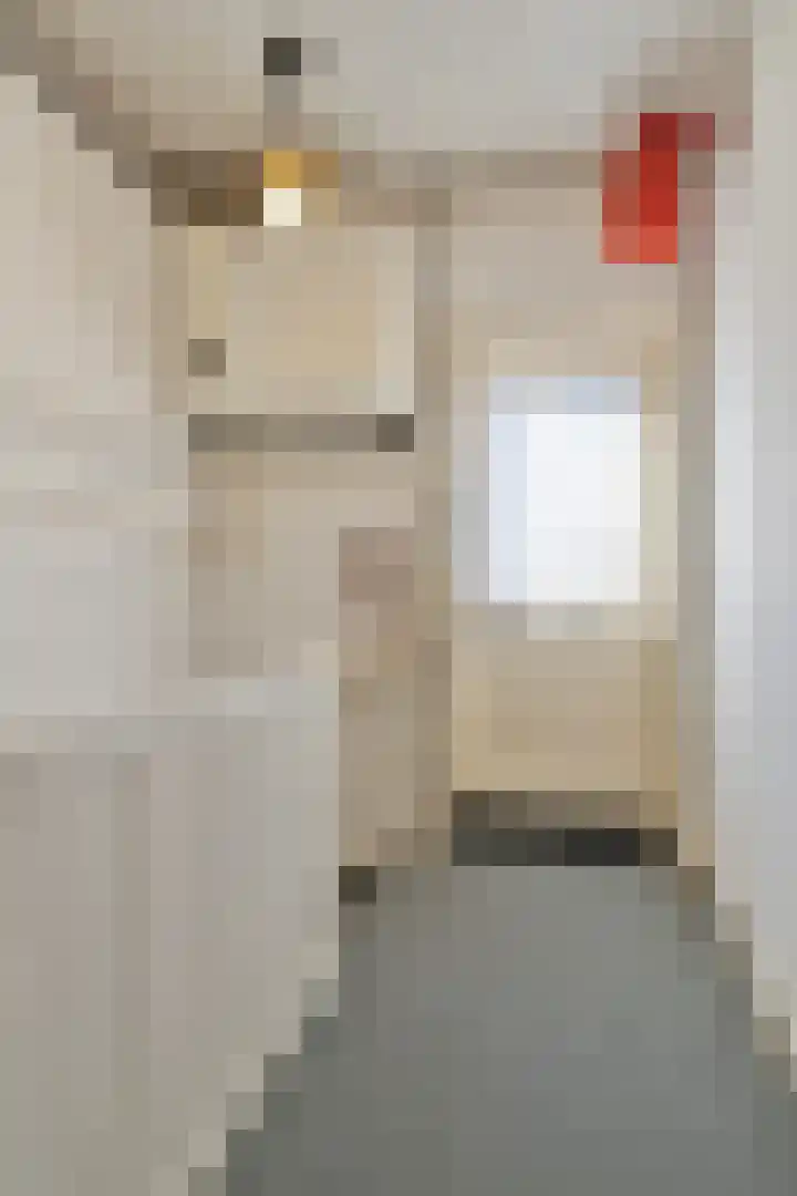Goudsbloemstraat 16 Eindhoven thumbnail 22