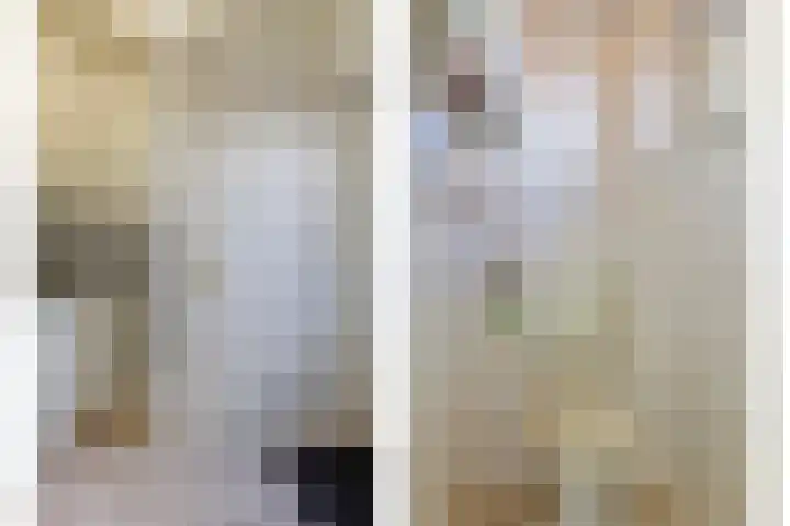 Goudsbloemstraat 16 Eindhoven thumbnail 37