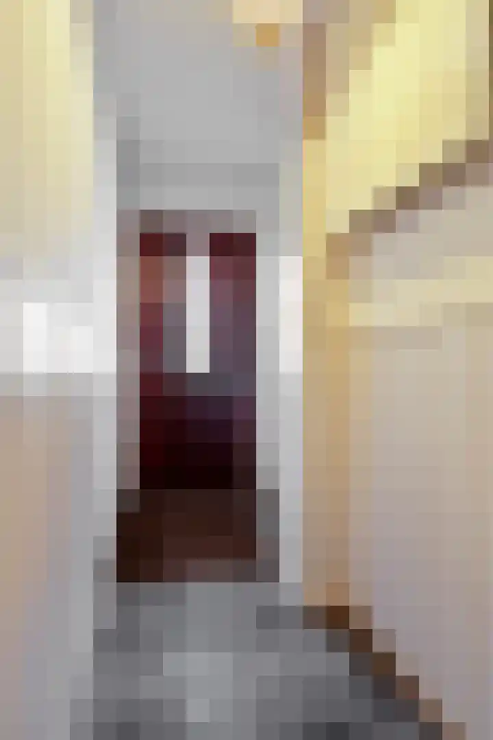 Goudsbloemstraat 16 Eindhoven thumbnail 4