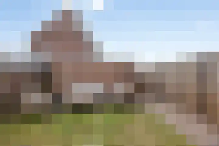 Goudsbloemstraat 18 Alblasserdam thumbnail 32