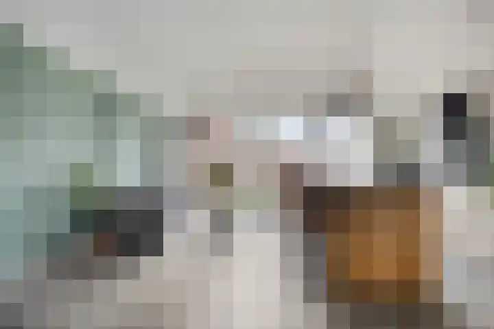 Goudsbloemstraat 18 Alblasserdam thumbnail 7